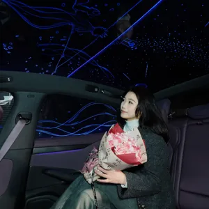 Luminous Car Window Film, Car Glass Film thumbnail-5