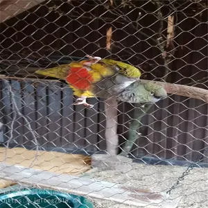 Aviary Netting for Parrot Breeding Facilities With 200kg Load Capacity thumbnail-1