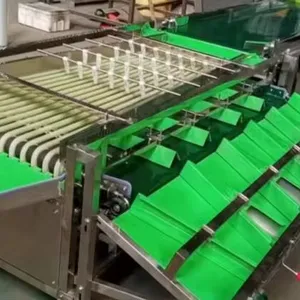 Dragon Fruit Sorting Grading Machine Sorter Grader Machine Line Classifying Machines thumbnail-1