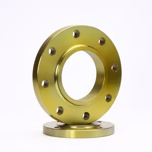 DIN Pn16 Plate RF Forged Steel Stainless Steel 304 316L Flange Pipe Fitting thumbnail-4