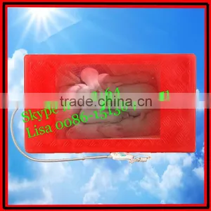 FRP Electric Hot Plate for Piglet thumbnail-1