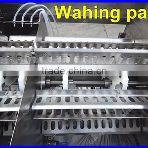 ODM Supplier Liquid Filling Machine,120ml Syrup Filling Machine Factory thumbnail-4