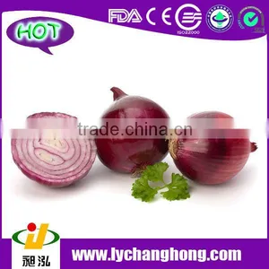 Fresh Red Onion thumbnail-1