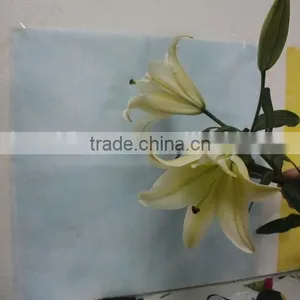 Most Popular Factory Direct Yellow Fresh Lilies thumbnail-4