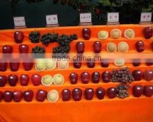 Tianshui Kairui Trade Co., Ltd. company overview - view 3 thumbnail