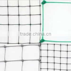Agricultural Plastic Anti Bird Netting thumbnail-1