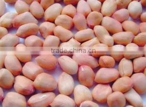 Chinese Peanut Kernels Baisha for Sale thumbnail-1