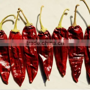 American Red Chilli New Crop Export Hot With or Without Stem thumbnail-3