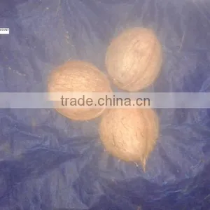 Delhi Coconuts thumbnail-5