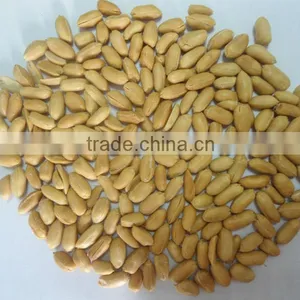 Best Shandong Canned Fried Peanuts for Sale thumbnail-1