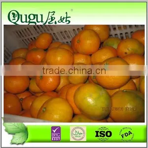 2014 New Crop Mandarin Orange Grower in China thumbnail-1