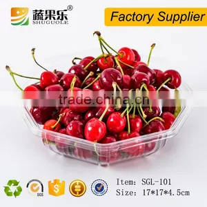 Promotional Transparent Plastic Pet Tray thumbnail-2