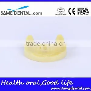 Dental Implant Practice Model (no Gum) Education School Teaching Models thumbnail-1