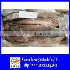 Frozen Catfish Whole Round thumbnail-1