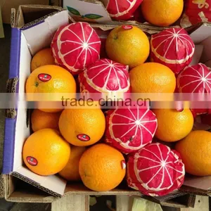 Orange and Lemons Fresh Oranges From Egypt thumbnail-6