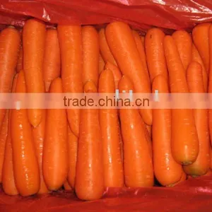Carrot thumbnail-1
