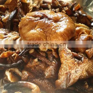 Mushroom Fungus thumbnail-4