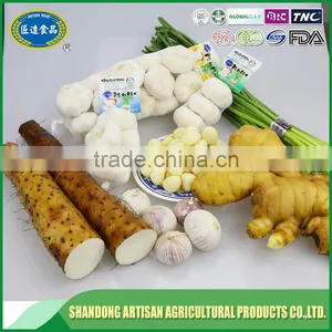 Chinese Yam thumbnail-3
