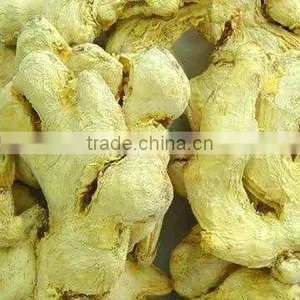 Dehydrated Ginger Dry Ginger Dried Ginger Whole Peeled thumbnail-1