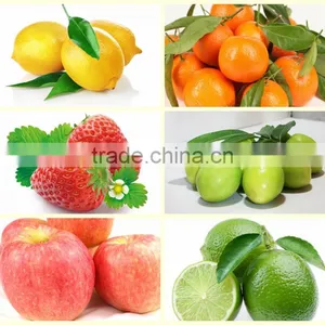 Industrial Watermelon/Orange/Apple Washing Machine With Roller Brushes thumbnail-6