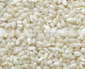 Superior Quality Sesame Seeds for Oil Extraction thumbnail-1