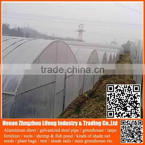 40 Mesh 50 Mesh100% Virgin Hdpe Greenhouse Insect Net , Plastic Vegetable Anti Insect Net , pe Agricultural Insect Proof Net thumbnail-1