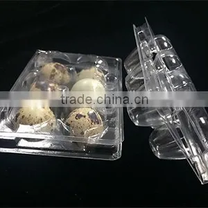 Wholesales Price Disposable PVC Quail Egg Tray thumbnail-1