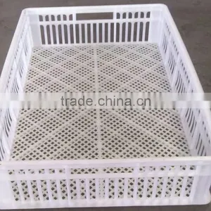 Hot Sale Good Quality Poultry Plastic Collapsing Folding Crate for Chicken/duck/goose thumbnail-6