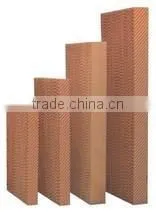 Cellulose Pad thumbnail-1