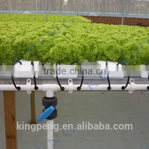 Agricultural Baby Lettuce Cultivation Greenhouse thumbnail-1