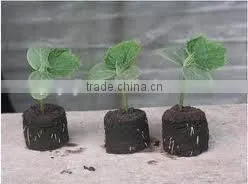 Grow Seedling Block Press Machine thumbnail-5