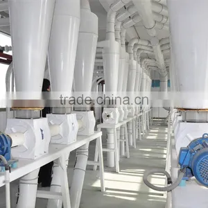 Chinese Brand 5-50T/24h Grain Milling Machine/wheat Flour Grinding Machines thumbnail-6