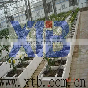 Single Span Agriculture Hydroponic Greenhouse for Agriculture thumbnail-1