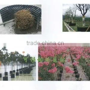 Zhejiang Manufacture High Reflective Growing Systems Trays thumbnail-3