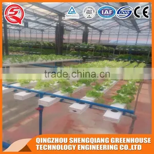 Vegetable Product Venlo Glass Green House Hydroponic System thumbnail-6