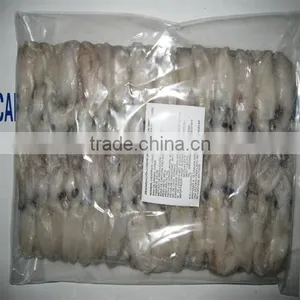 Frozen Baby Loligo Squid thumbnail-5