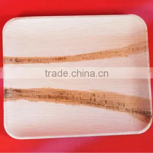 Biodegradable Tableware thumbnail-3
