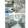 DWT Series Dryer For Vegetable Dehydration thumbnail-1