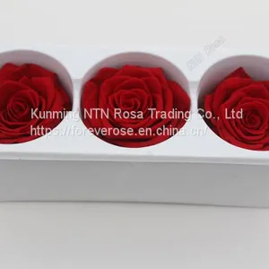 Begin Flower Business With Kunming Forever Flowers Exporter thumbnail-1