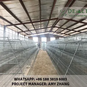 Layer Poultry Farm Cage thumbnail-5