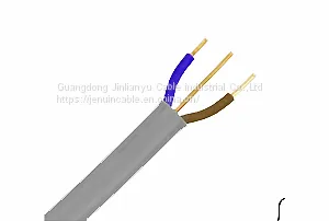 BS 6004 thumbnail-4