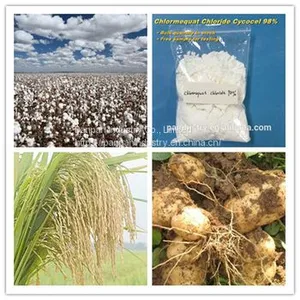China Manufacture Good Pesticide Ccc Foliar Fertilizer Chlormequat Chloride 98%tc thumbnail-2
