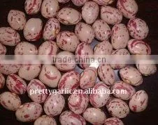 Light Speckled Kidney Beans (LSKB) thumbnail-1