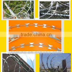 Galvanized Steel Coiled Barbed Wire (high Quality) thumbnail-1