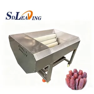 High Precision Medjool Palm Dates Brush Polishing Cleaning Machine Automatic Dry Dates Polishing Machine With Brush Roller Type thumbnail-1