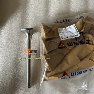ORIGINAL SDLG Exhaust Valve 4110000556145 APPLY FOR SDLG WHEEL LOADER LG978 L978F L975F thumbnail-2