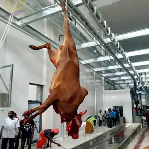 Customized Cattle Cow Abattoir Equipment Line USDA Butcher Machinery Beef Processing Production Factory Meat Slaughter Machine thumbnail-2