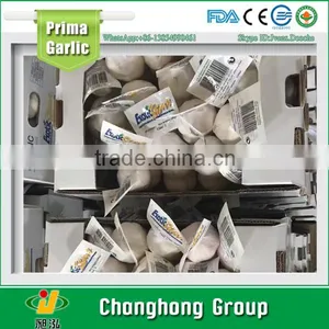 2016 Cheap Fresh Garlic Factory Directly Supply thumbnail-1