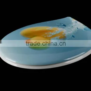European Standard Printed Toilet Seat thumbnail-2