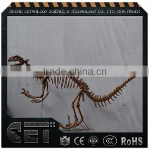Cetnology Artificial Dinosaur Fossil Head for Sale thumbnail-5